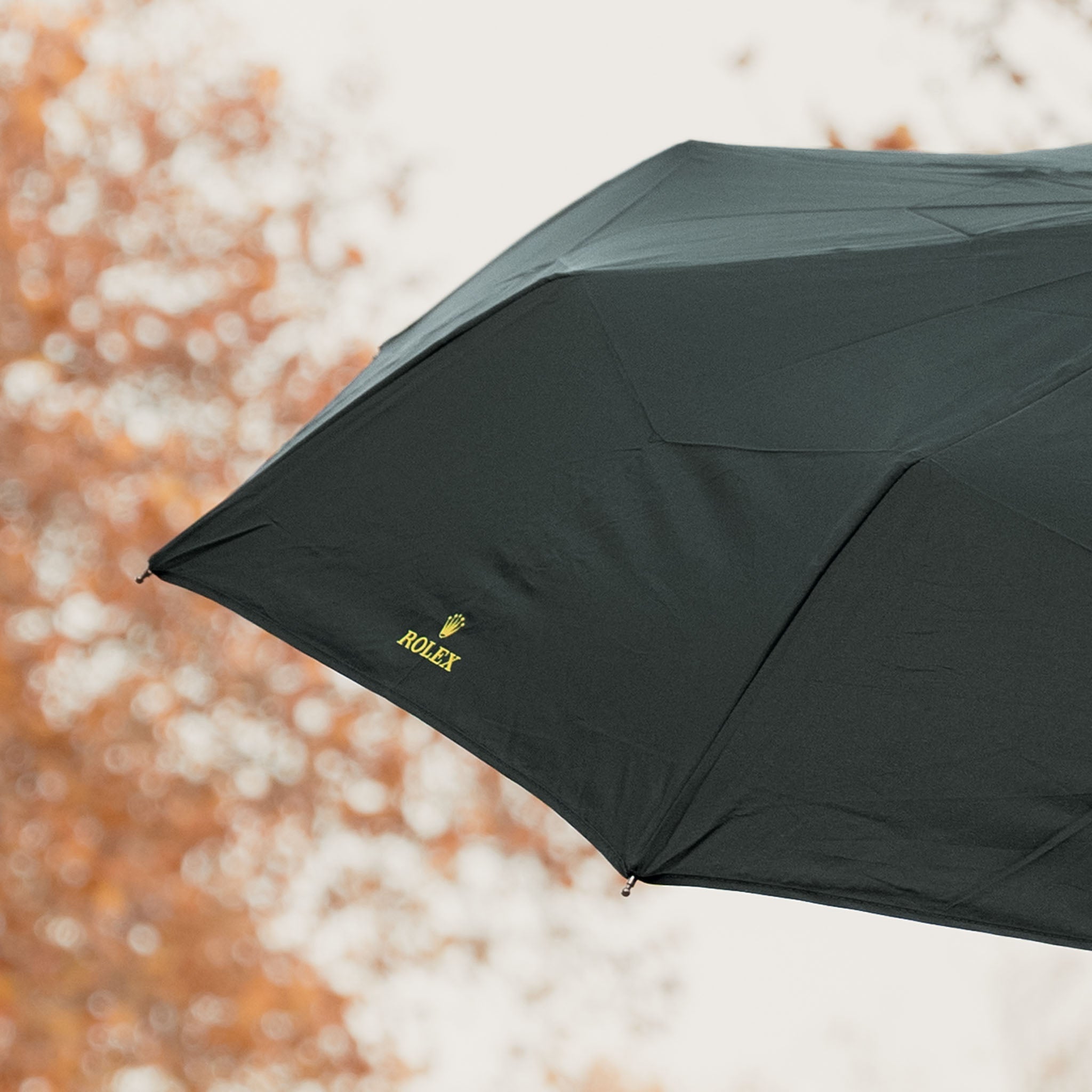 Rolex Umbrella in Green Colour