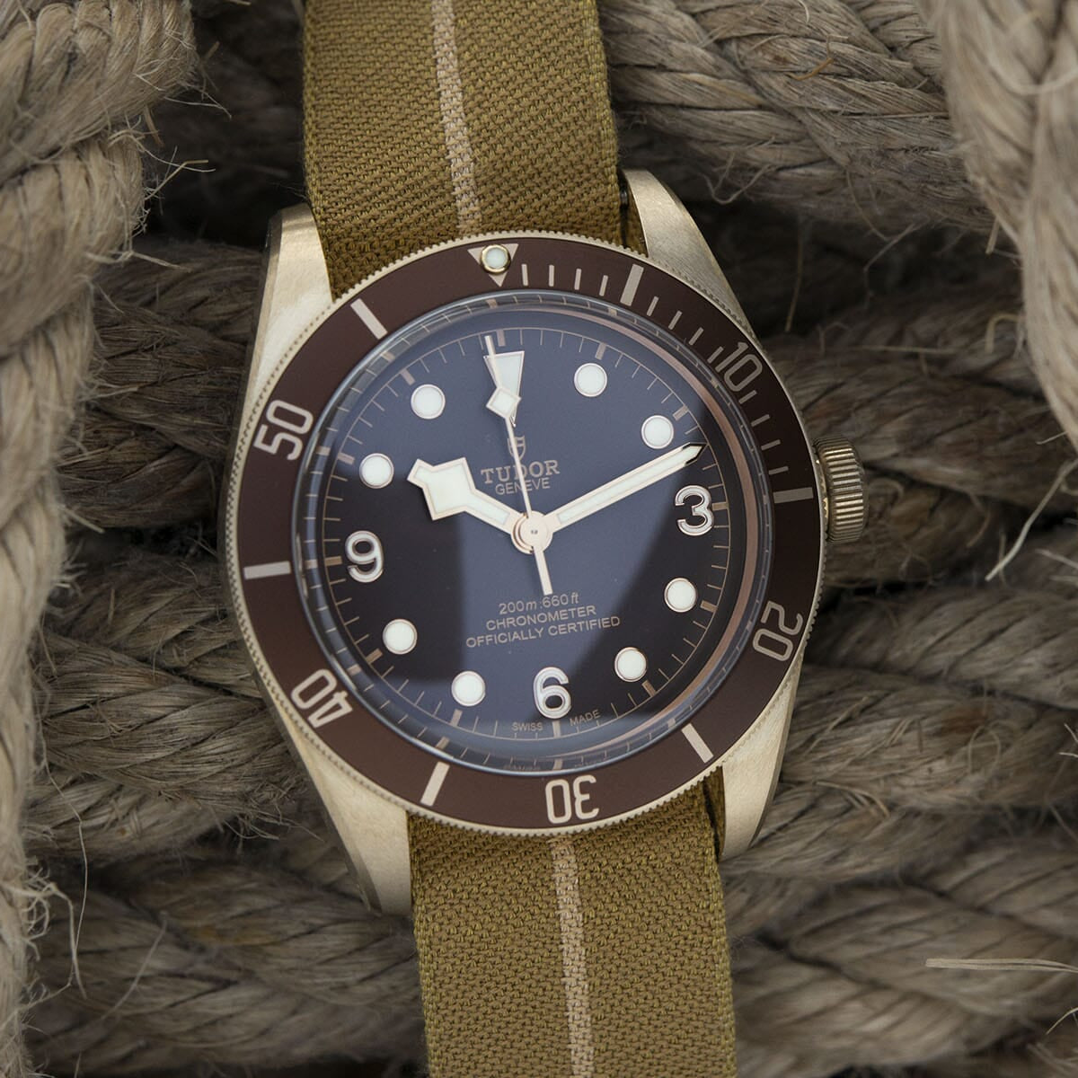 The Tudor Black Bay Bronze - A Golden Era