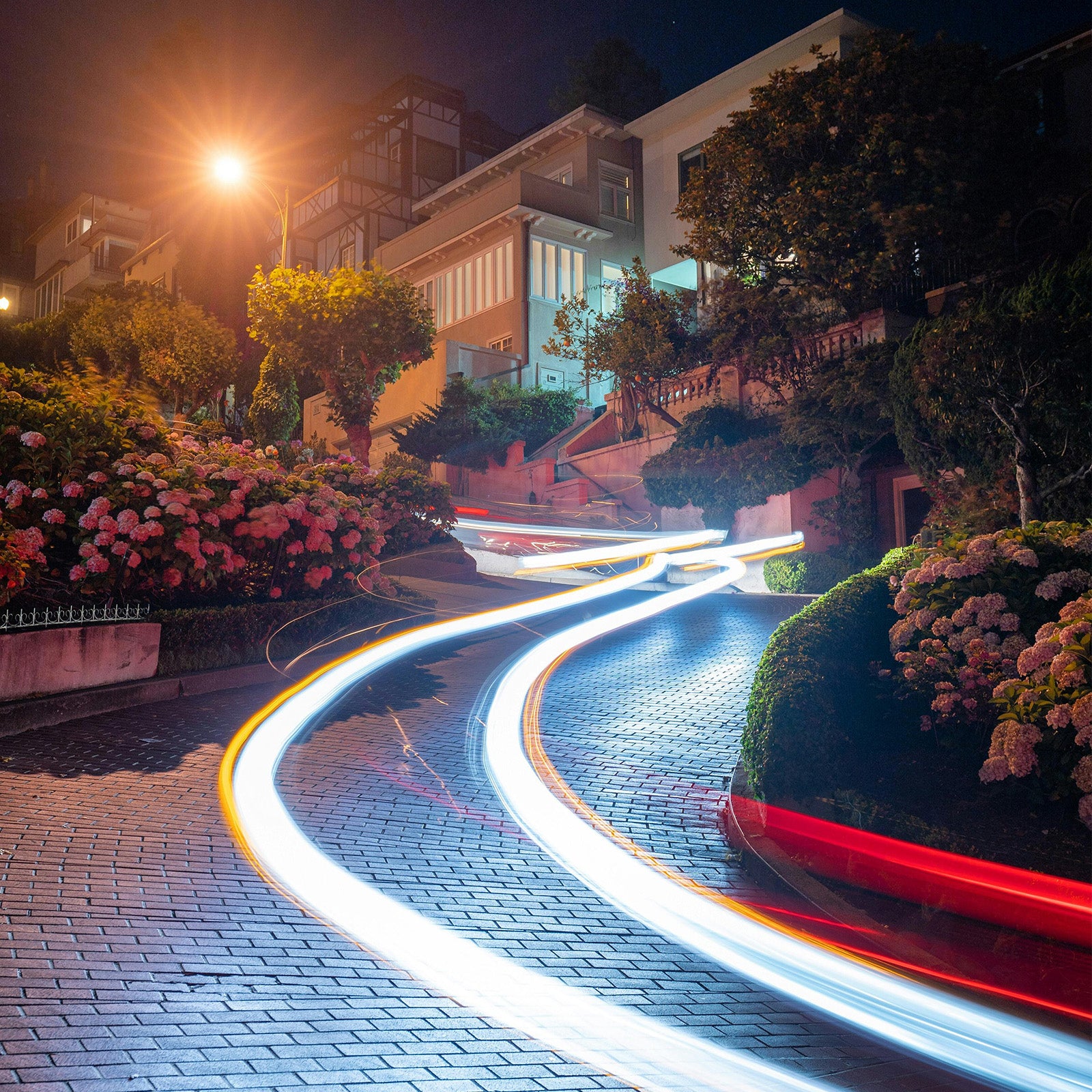 HAIRPIN_TURNS_BY_NIGHT_SAN_FRANCISCO