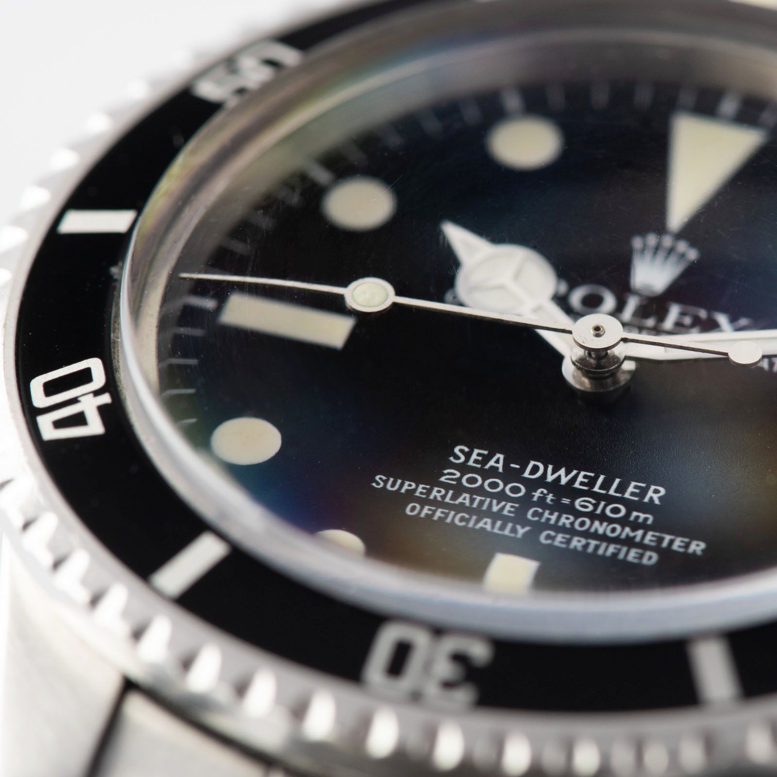 Rolex Seadweller Great White Reference 1665